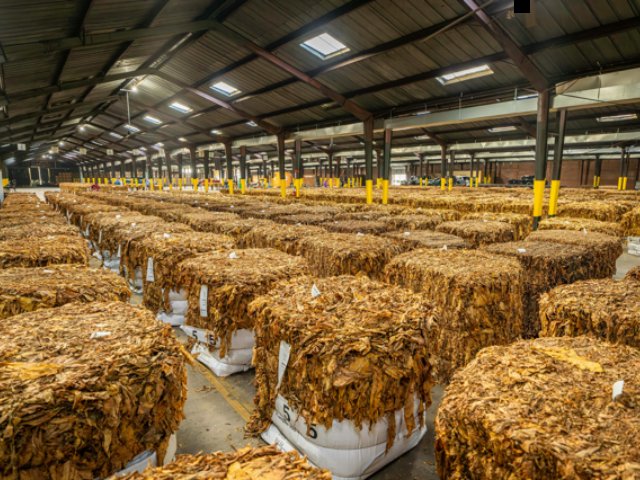 Tobacco Warehousing
